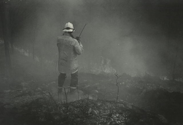 Assistant Chief Larry Sherrow operating at a large brush fire.